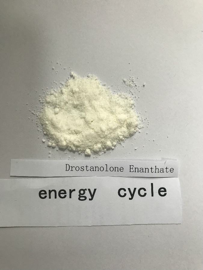 Drostanolone enanthate