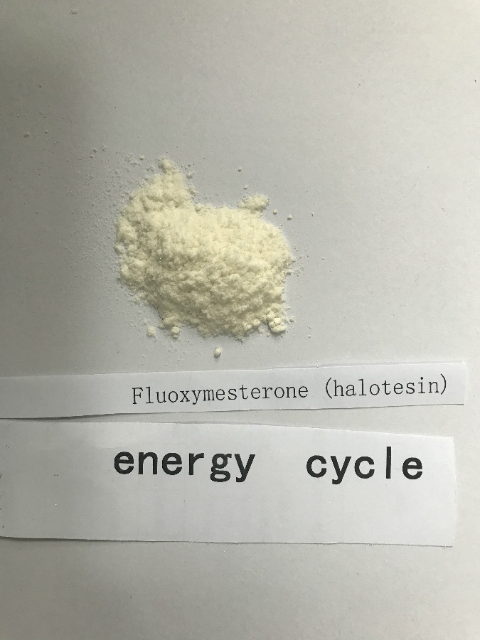 Fluoxymesterone (halotesin)