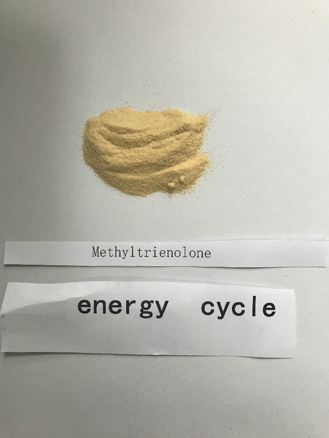 Methyltrienolone