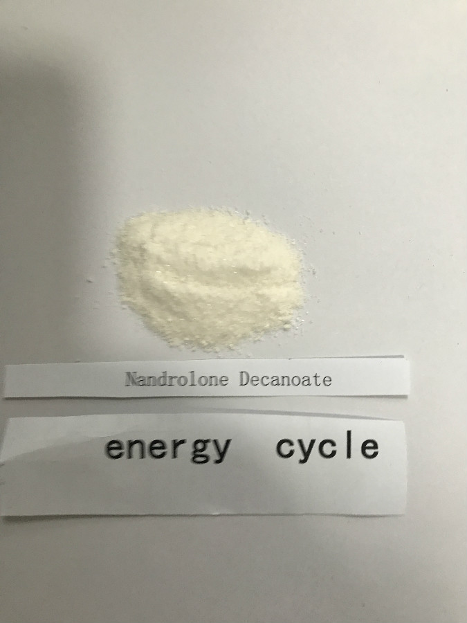 Nandrolone decanoate