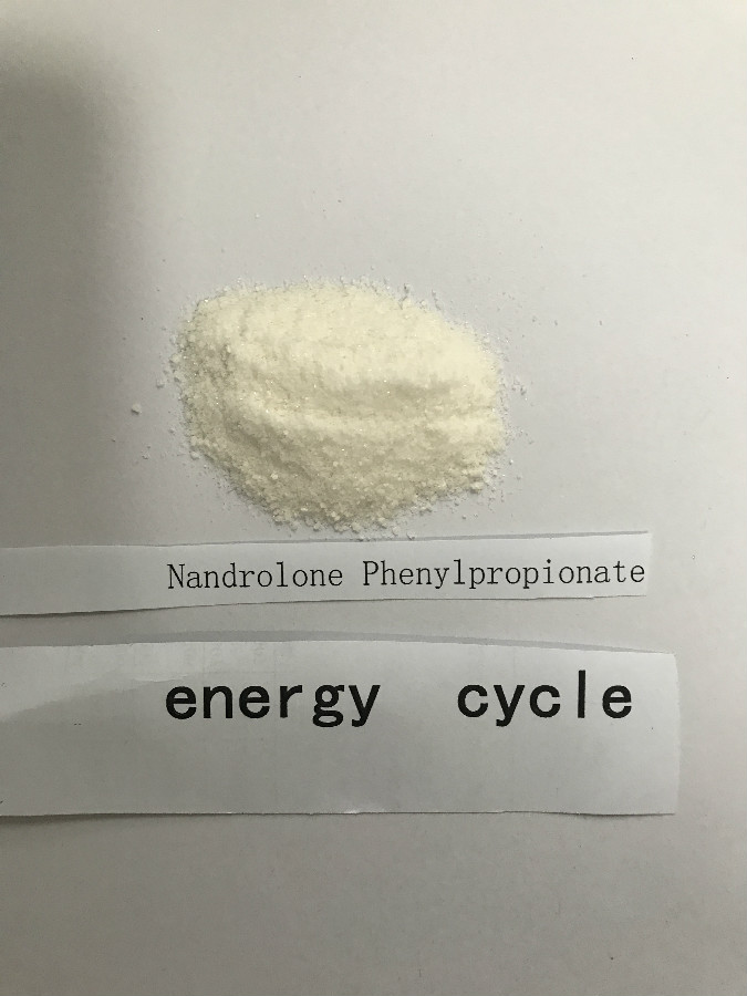 Nandrolone phenylpropionate