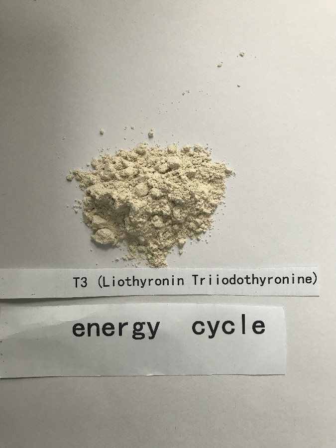 T3(LIOTHYRONIN/triiodothyronine)