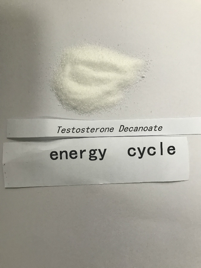 Testosterone decanoate