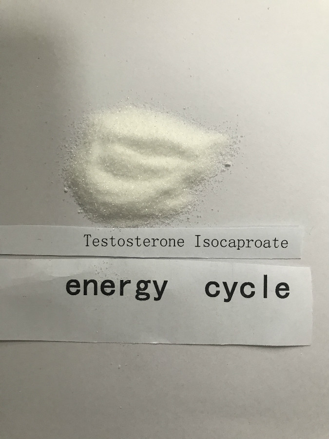 Testosterone Isocaproate
