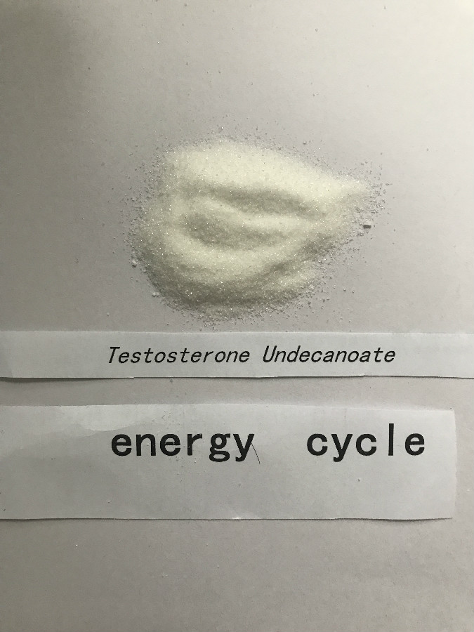 Testosterone undecanoate